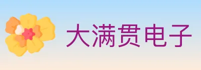 大满贯电子 logo